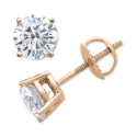 Stud Earrings (1/5 ct. ) in 10k Gold White Gold or Gold