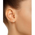 Pear Stud Earrings (1/4 ct. ) in 14k Gold